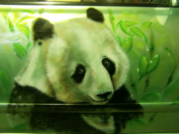 mehanika55 aero miha1